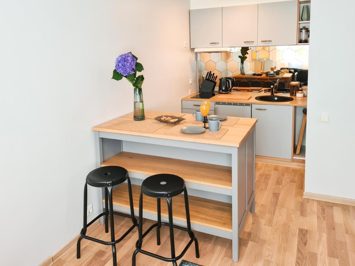 Ohtu Poik 2 City Center Basement Apartment Pärnu Kültér fotó