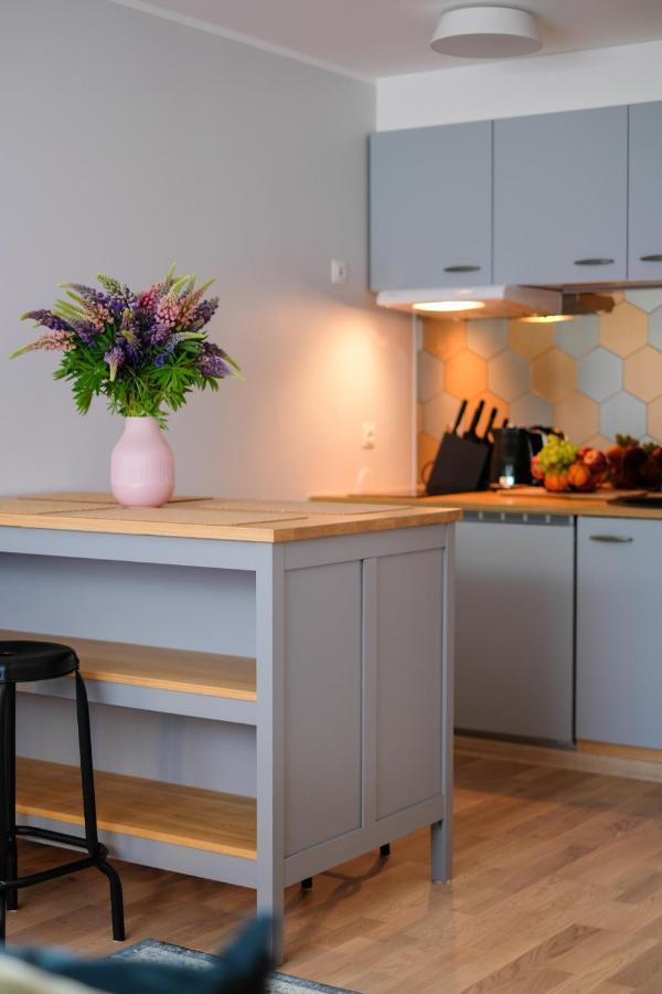 Ohtu Poik 2 City Center Basement Apartment Pärnu Kültér fotó