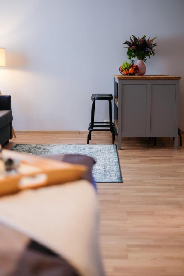 Ohtu Poik 2 City Center Basement Apartment Pärnu Kültér fotó